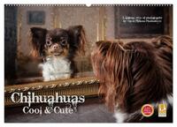 Chihuahuas - Cool and Cute (Wandkalender 2025 DIN A2 quer), CALVENDO Monatskalender
