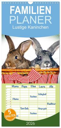 Familienplaner 2026 - Lustige Kaninchen mit 5 Spalten (Wandkalender, 21 x 45 cm) CALVENDO