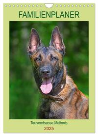 Familienplaner Tausendsassa Malinois (Wandkalender 2025 DIN A4 hoch), CALVENDO Monatskalender