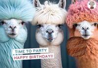 Time to party - Happy birthday!!