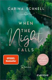 Vorderes Coverbild When the Night Falls