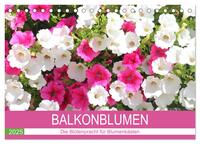 Balkonblumen. Die Blütenpracht für Blumenkästen (Tischkalender 2025 DIN A5 quer), CALVENDO Monatskalender