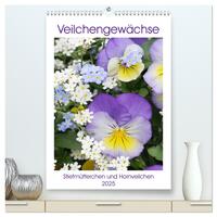Veilchengewächse Stiefmütterchen und Hornveilchen (hochwertiger Premium Wandkalender 2025 DIN A2 hoch), Kunstdruck in Hochglanz