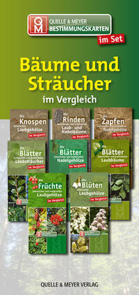 Bestimmungskarten-Set „Bäume und Sträucher“