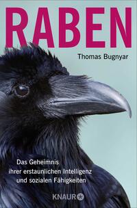 Vorderes Coverbild Raben