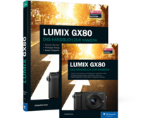LUMIX GX80