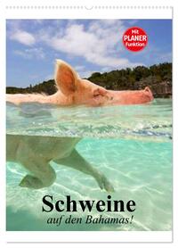 Schweine auf den Bahamas! (Wandkalender 2026 DIN A2 hoch), CALVENDO Monatskalender