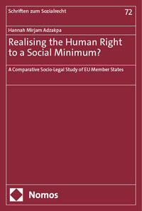 Vorderes Coverbild Realising the Human Right to a Social Minimum?