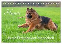 Hunde - Beste Freunde der Menschen (Tischkalender 2025 DIN A5 quer), CALVENDO Monatskalender