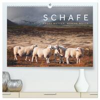 Vorderes Coverbild Schafe - Raues Wetter, weiche Wolle (hochwertiger Premium Wandkalender 2025 DIN A2 quer), Kunstdruck in Hochglanz