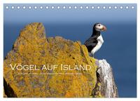 Vögel auf Island (Tischkalender 2025 DIN A5 quer), CALVENDO Monatskalender