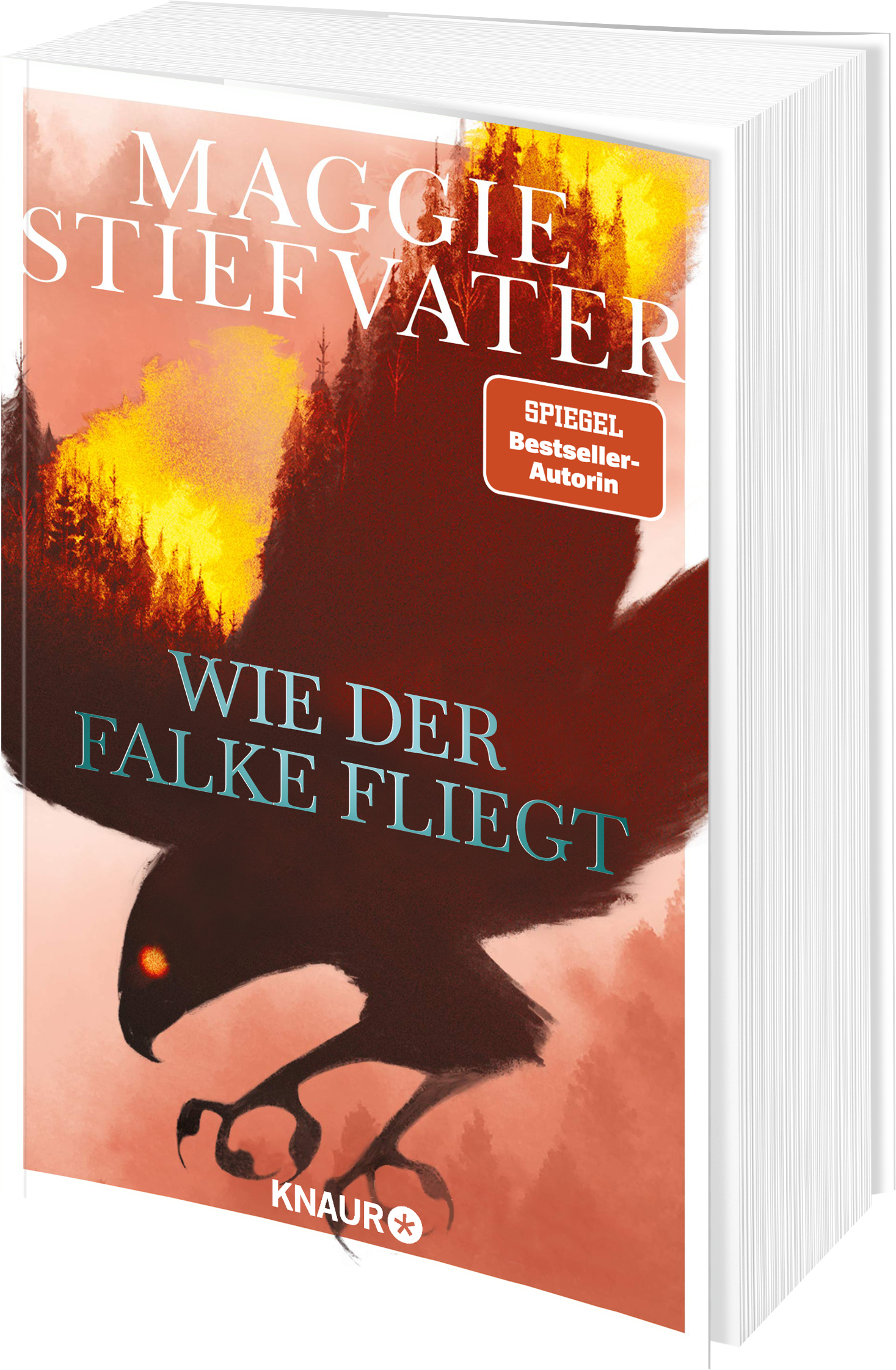 Wie der Falke fliegt