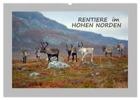 Rentiere im Hohen Norden (Wandkalender 2025 DIN A2 quer), CALVENDO Monatskalender