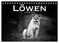 Löwen schwarz weiß (Tischkalender 2025 DIN A5 quer), CALVENDO Monatskalender