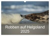 Robben auf Helgoland 2025 (Wandkalender 2025 DIN A3 quer), CALVENDO Monatskalender