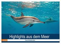 Highlights aus dem Meer - Tauchkalender (Wandkalender 2026 DIN A2 quer), CALVENDO Monatskalender