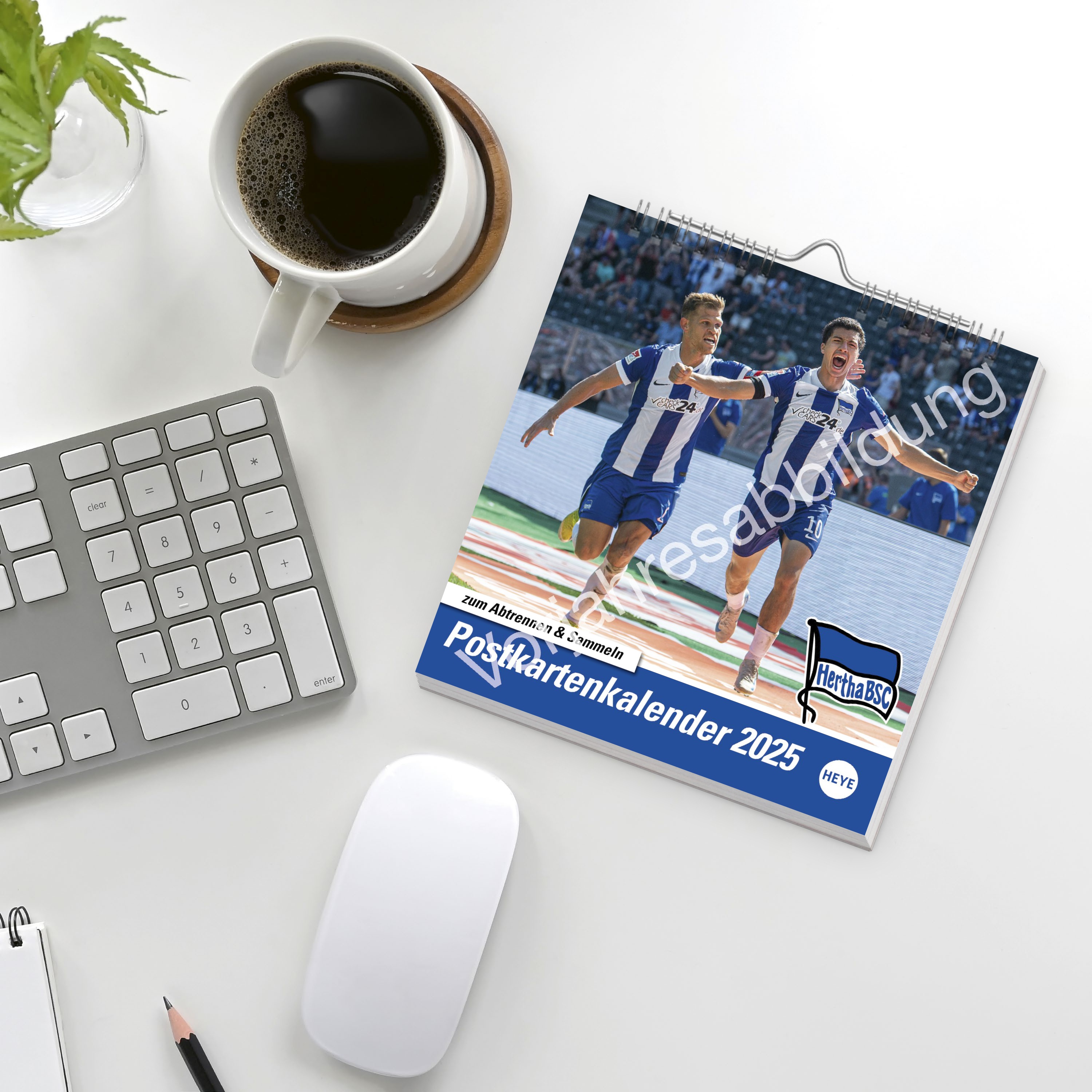 Hertha BSC Postkartenkalender 2026