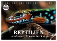 Reptilien. Schlangen, Echsen und Co. (Tischkalender 2025 DIN A5 quer), CALVENDO Monatskalender