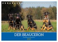 Der Beauceron (Tischkalender 2025 DIN A5 quer), CALVENDO Monatskalender