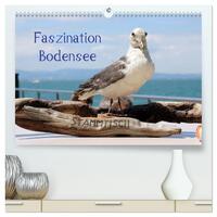 Vorderes Coverbild Faszination Bodensee (hochwertiger Premium Wandkalender 2026 DIN A2 quer), Kunstdruck in Hochglanz