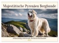 Majestätische Pyrenäen Berghunde (Wandkalender 2025 DIN A3 quer), CALVENDO Monatskalender