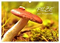Pilze und Pilzgerichte (Wandkalender 2026 DIN A3 quer), CALVENDO Monatskalender