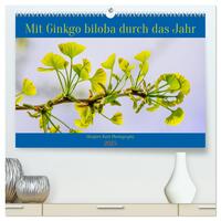 Mit Ginkgo biloba durch das Jahr (hochwertiger Premium Wandkalender 2025 DIN A2 quer), Kunstdruck in Hochglanz