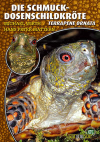 Die Schmuck-Dosenschildkröte