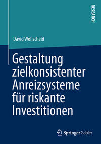 Vorderes Coverbild Gestaltung zielkonsistenter Anreizsysteme für riskante Investitionen