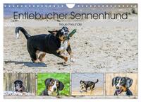 Entlebucher Sennenhund - treue Freunde (Wandkalender 2025 DIN A4 quer), CALVENDO Monatskalender