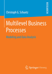 Multilevel Business Processes