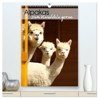 Alpakas zum Knuddeln gerne (hochwertiger Premium Wandkalender 2025 DIN A2 hoch), Kunstdruck in Hochglanz