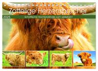 Zottelige Herzensbrecher. Schottische Hochlandrinder zum Verlieben (Tischkalender 2025 DIN A5 quer), CALVENDO Monatskalender