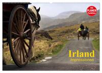 Irland. Impressionen (Wandkalender 2025 DIN A2 quer), CALVENDO Monatskalender