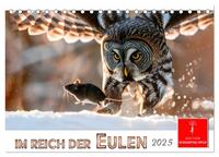 Im Reich der Eulen (Tischkalender 2025 DIN A5 quer), CALVENDO Monatskalender