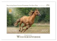 Faszination Westernpferde (Wandkalender 2025 DIN A2 quer), CALVENDO Monatskalender