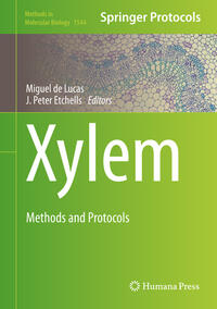 Xylem