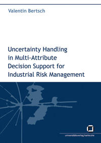 Uncertainty handling in multi-attribute decision support for industrial risk management