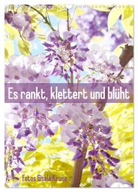 Es rankt, klettert und blüht (Wandkalender 2026 DIN A3 hoch), CALVENDO Monatskalender