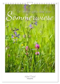 Ein Spaziergang über eine Sommerwiese (Wandkalender 2025 DIN A4 hoch), CALVENDO Monatskalender