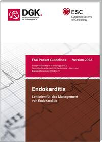 Endokarditis