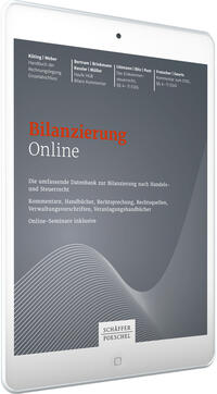 Bilanzierung Online