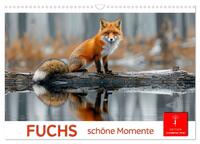 Fuchs - schöne Momente (Wandkalender 2026 DIN A3 quer), CALVENDO Monatskalender
