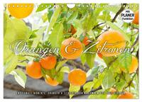 Emotionale Momente: Orangen und Zitronen. (Wandkalender 2025 DIN A4 quer), CALVENDO Monatskalender