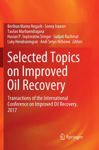 Selected Topics on Improved Oil Recovery