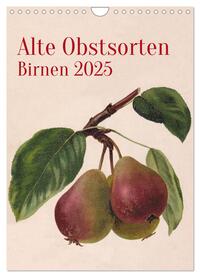 Alte Obstsorten - Birnen 2025 (Wandkalender 2025 DIN A4 hoch), CALVENDO Monatskalender