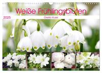 Weiße Frühlingsblüten (Wandkalender 2025 DIN A3 quer), CALVENDO Monatskalender