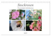 Stockrosen - Traumhafte Schönheiten (Wandkalender 2025 DIN A4 quer), CALVENDO Monatskalender