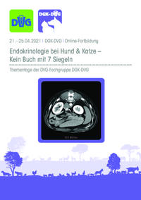 DGK-DVG: Thementage Endokrinologie bei Hund und Katze 2021