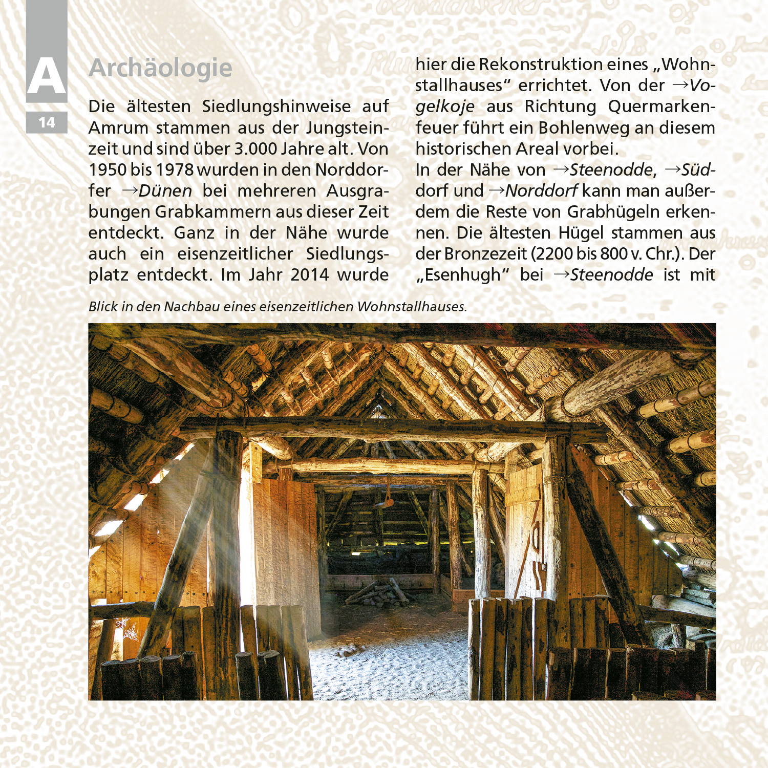 Beispielinhalt (Bild) Kleines Amrum-ABC